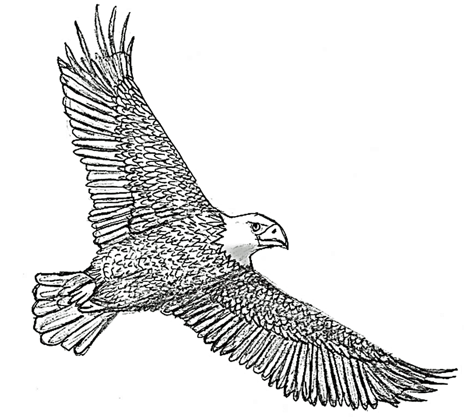 Eagle